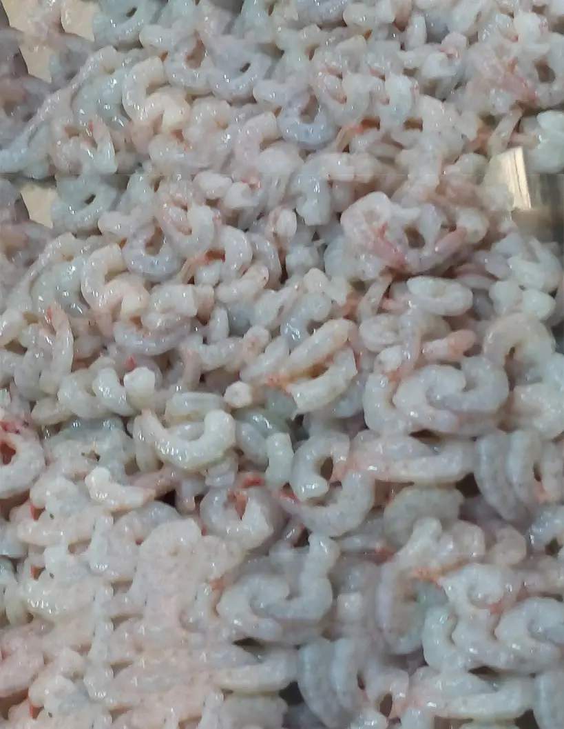 PUD KARIKADI frozen seafood from India with long experience supplying worldwide